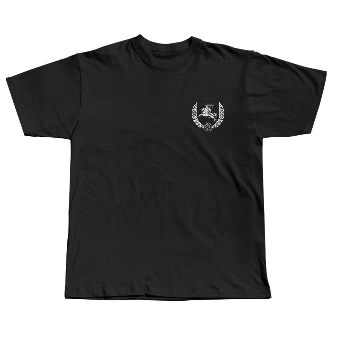 Marškinėliai "VISI KARTU UŽ LIETUVĄ"